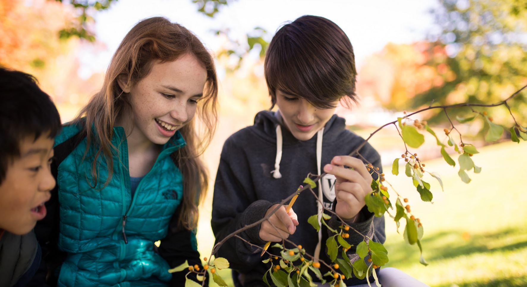 Middle Schoolers Present Projects at Science Fair – The Willistonian ...