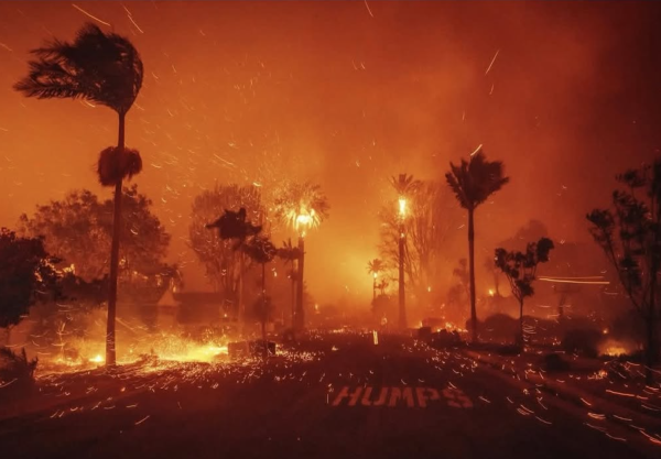 A street in Pacific Palisades, outside Los Angeles, is engulfed in flames. Credit: Instagram.
